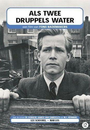 Постер фильма Als twee druppels water
