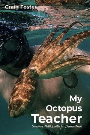 Постер фильма Мой учитель – осьминог | My Octopus Teacher