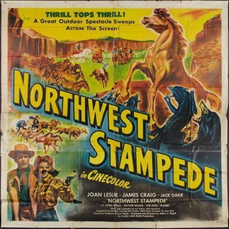 Постер фильма Northwest Stampede