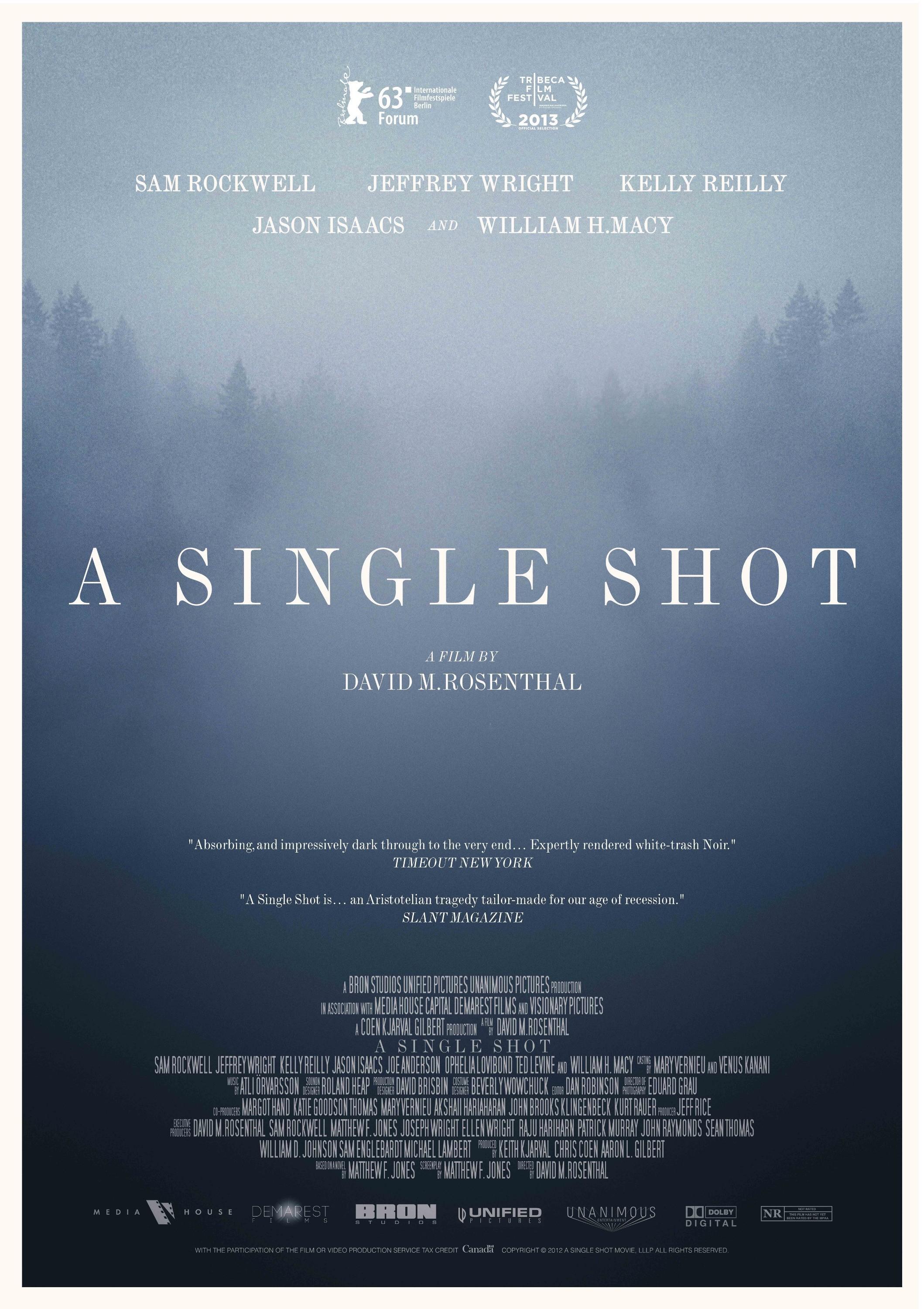 Постер фильма Единственный выстрел | Single Shot