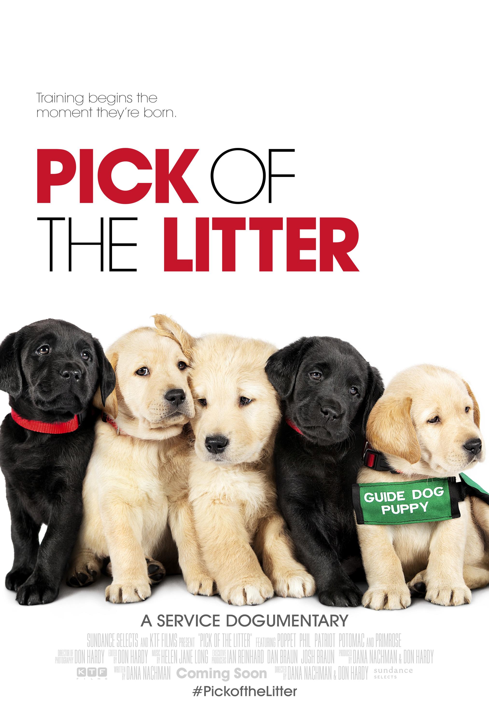 Постер фильма Pick of the Litter 