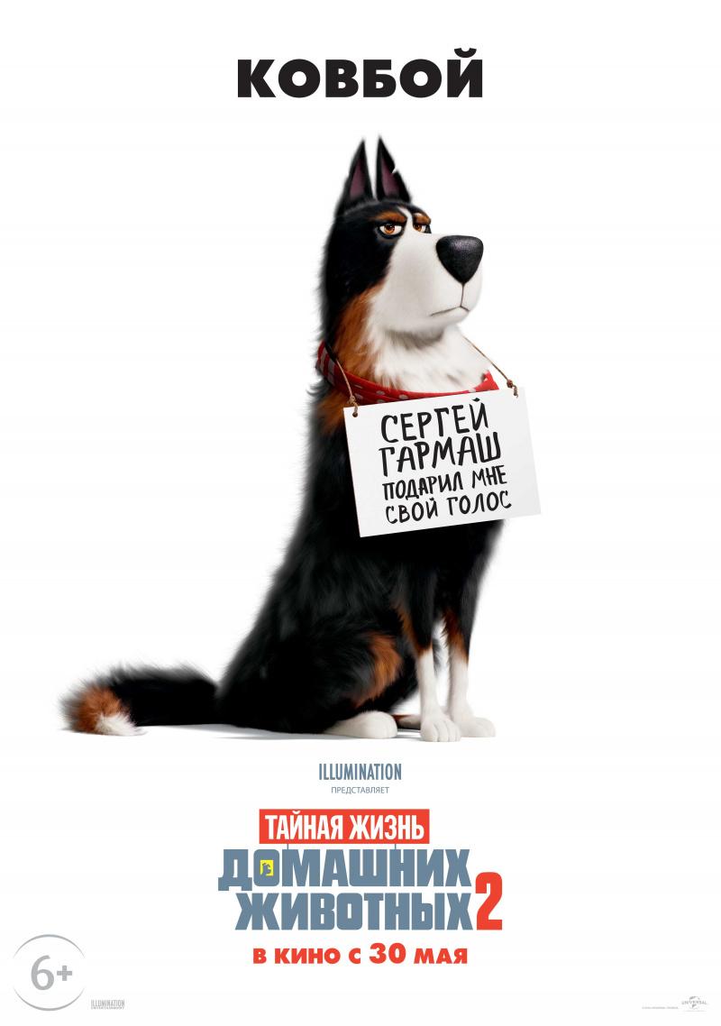 Постер фильма Тайная жизнь домашних животных 2 | The Secret Life of Pets 2