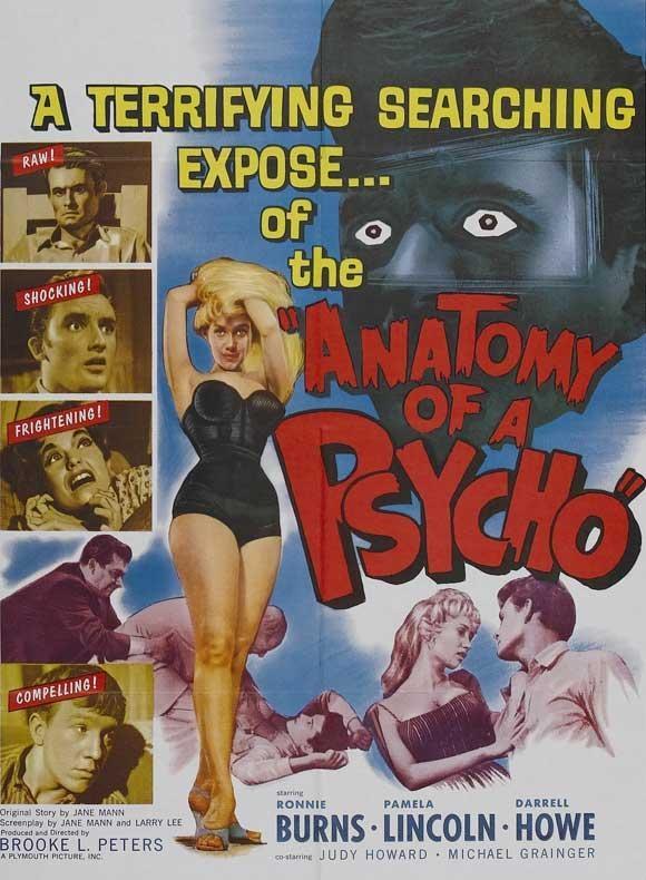 Постер фильма Anatomy of a Psycho