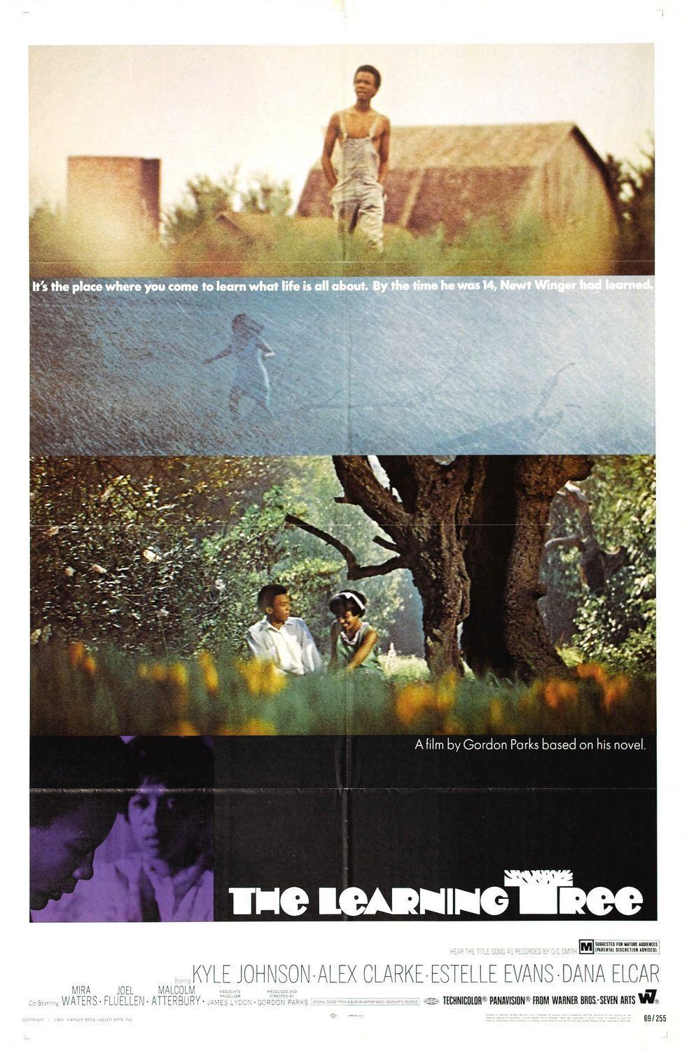 Постер фильма Learning Tree