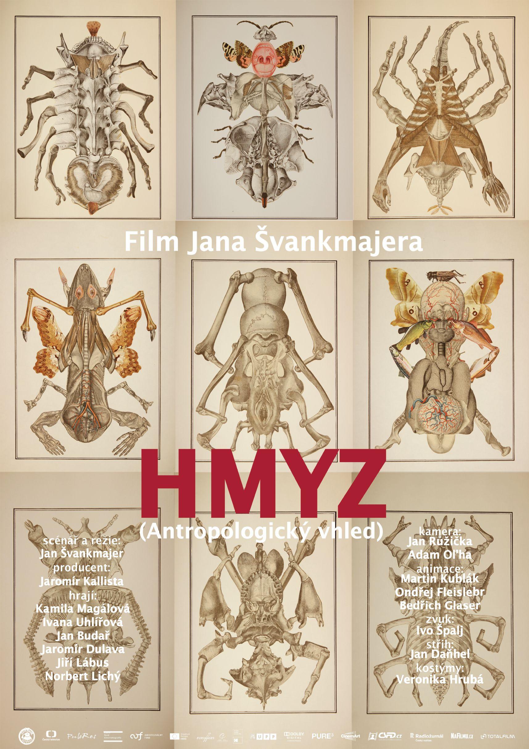 Постер фильма Hmyz 