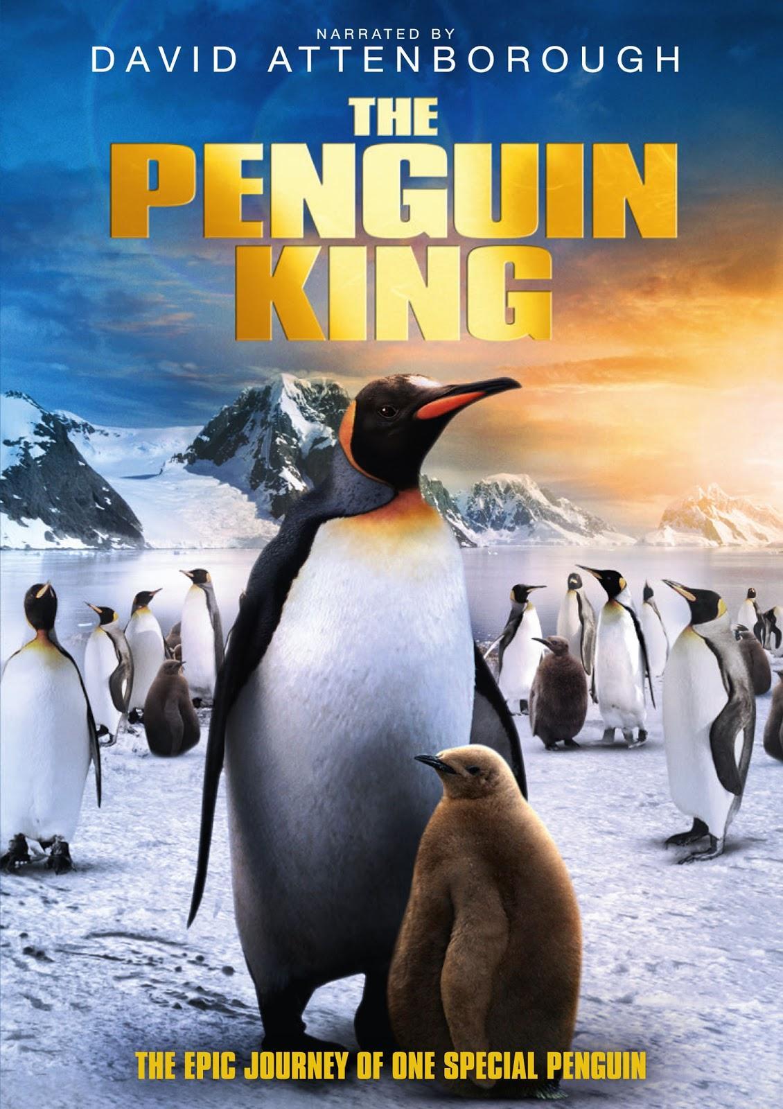 Постер фильма Король пингвинов | Penguin King 3D