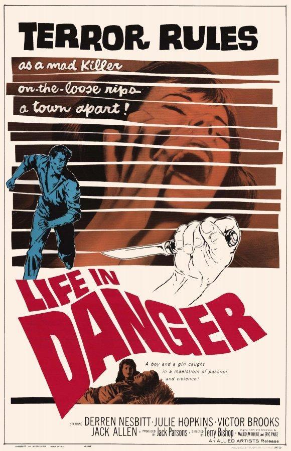 Постер фильма Life in Danger