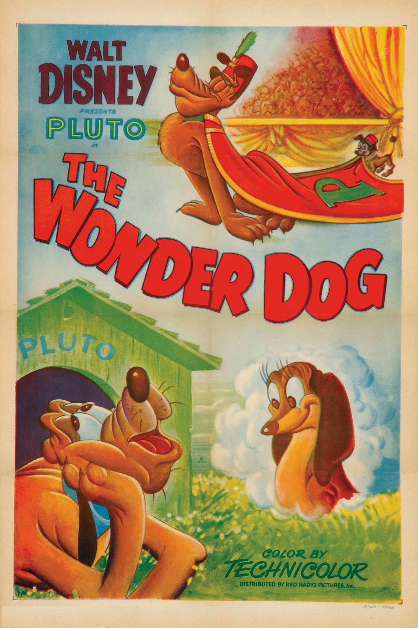 Постер фильма Wonder Dog