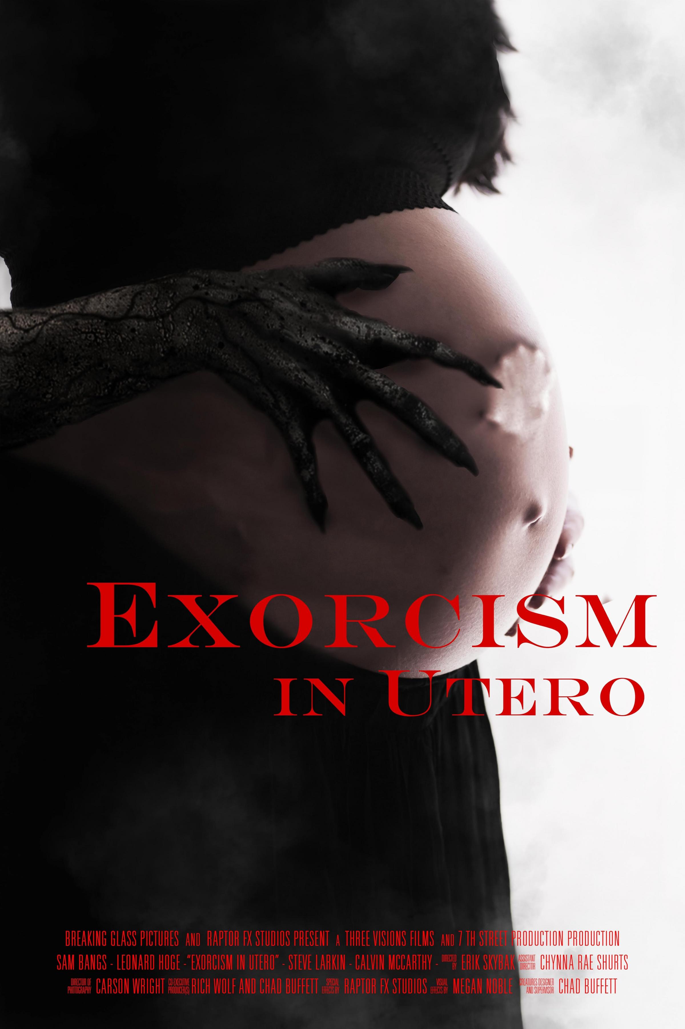 Постер фильма Exorcism in Utero