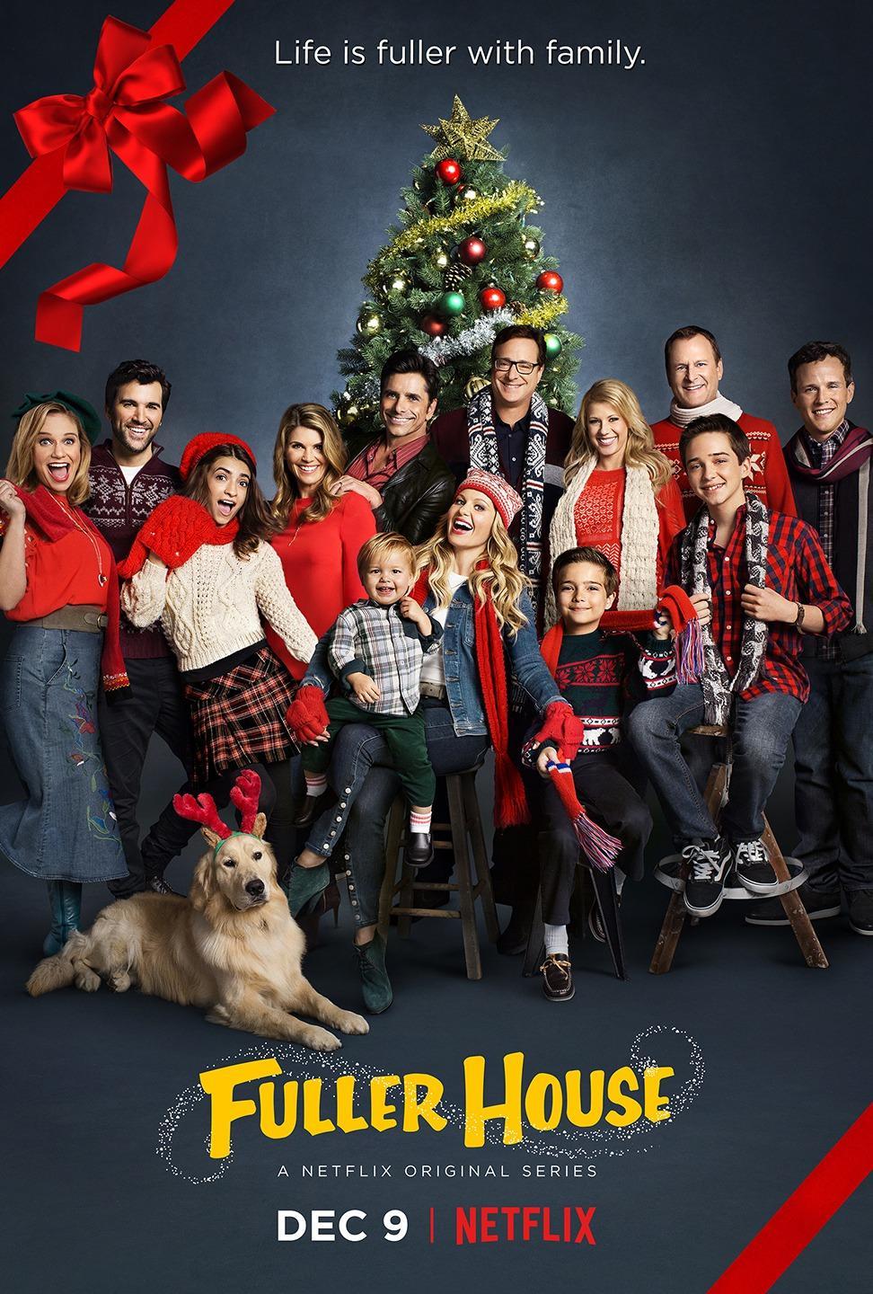 Постер фильма Более полный дом | Fuller House