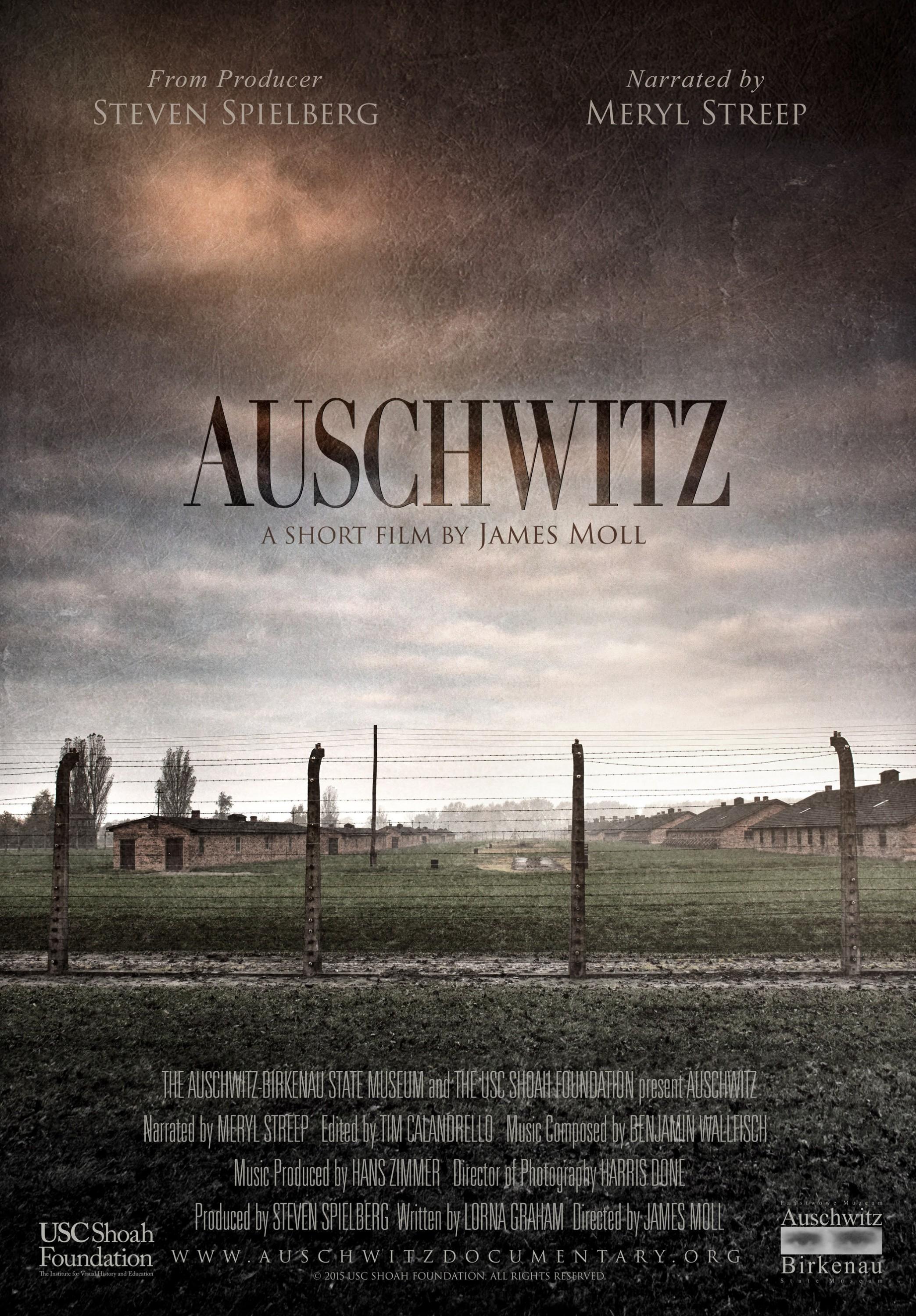 Постер фильма Auschwitz