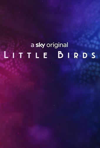 Постер фильма Маленькие пташки | Little Birds