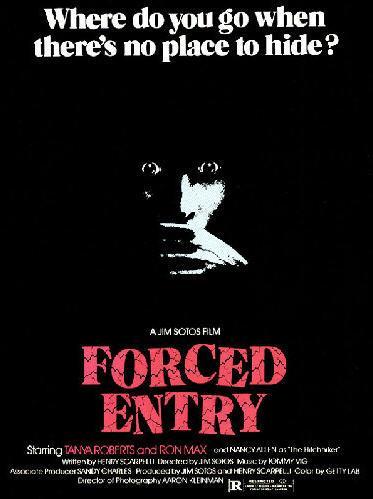 Постер фильма Насильственное вторжение | Forced Entry
