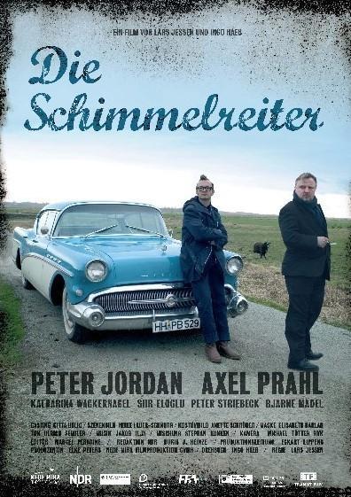 Постер фильма Schimmelreiter