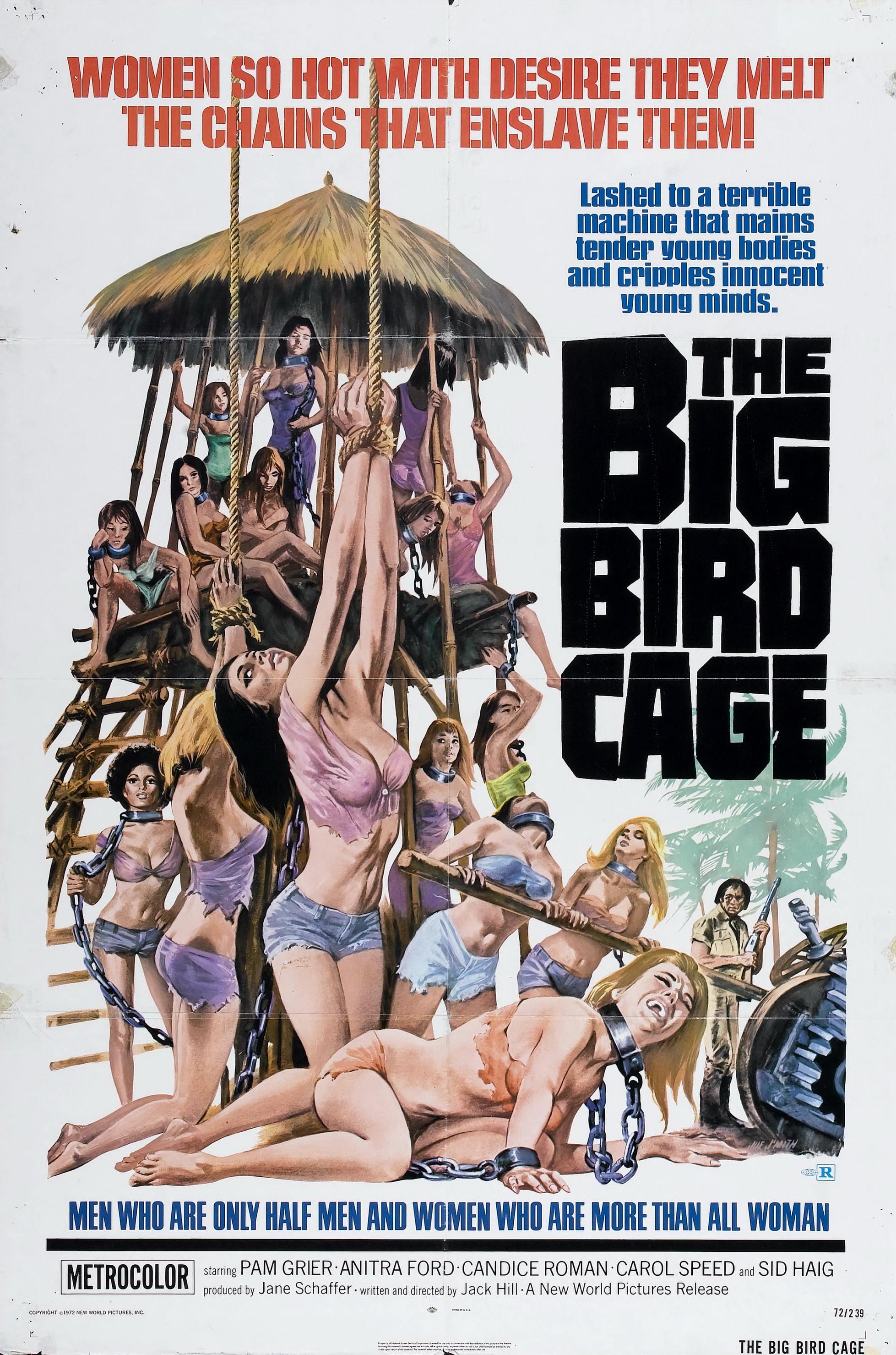 Постер фильма Клетка для большой птички | Big Bird Cage