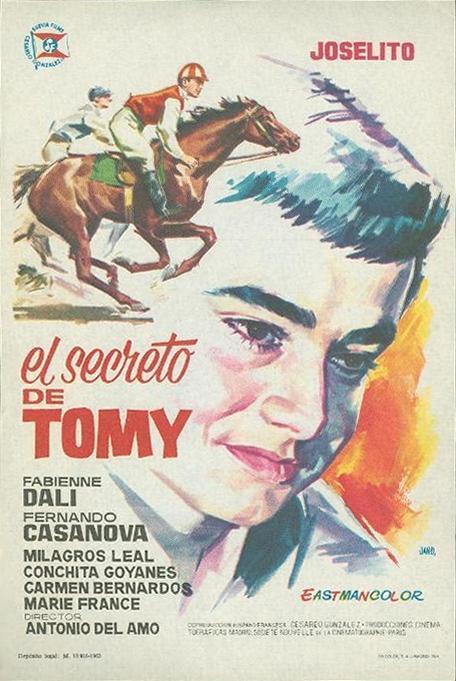 Постер фильма secreto de Tomy