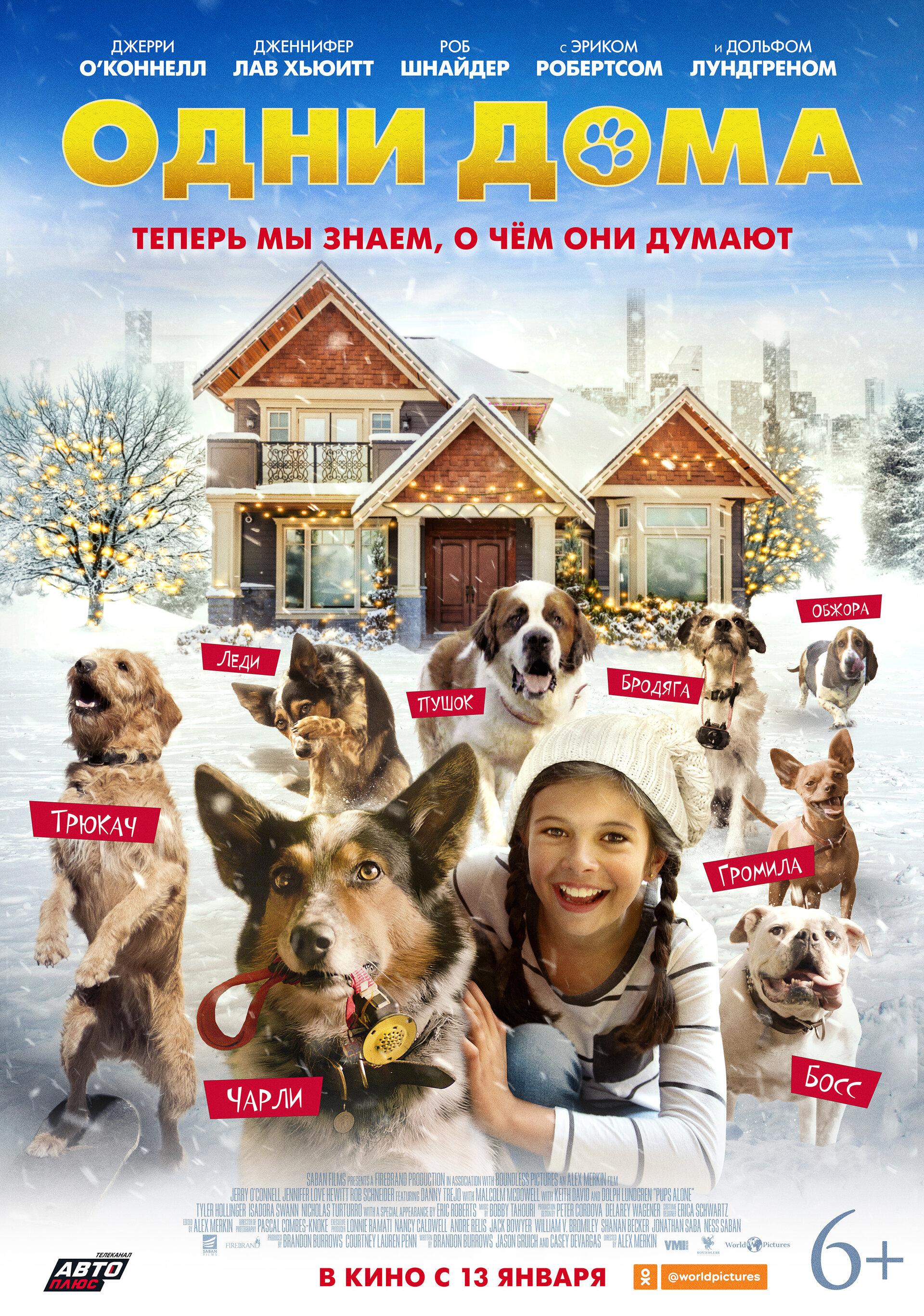 Постер фильма Одни дома | Pups Alone