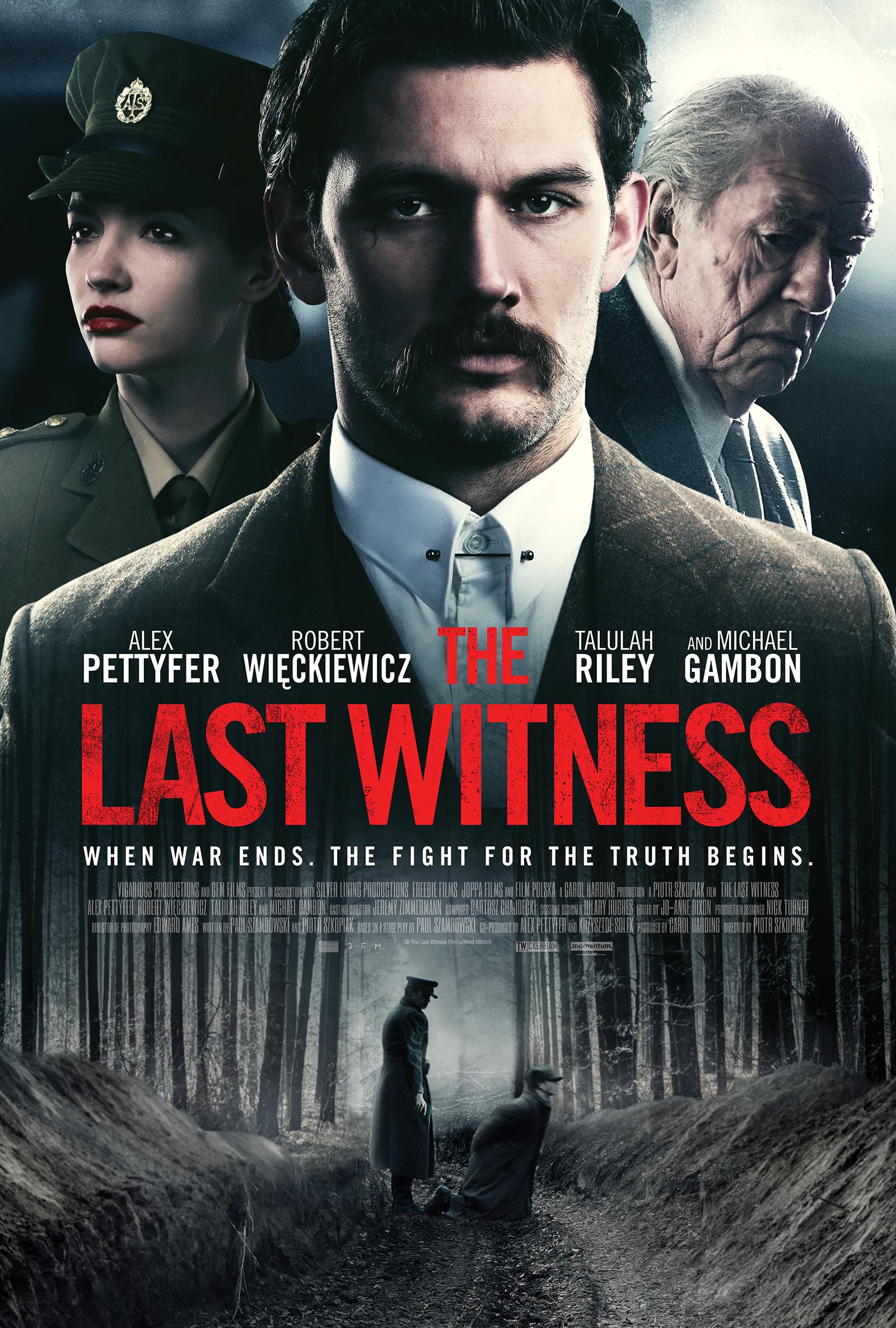 Постер фильма The Last Witness 