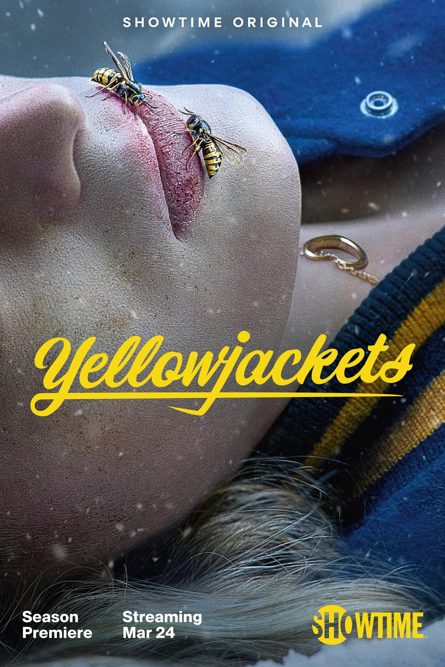 Постер фильма Шершни | Yellowjackets
