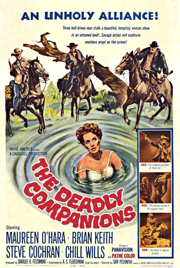 Постер фильма Опасные попутчики | Deadly Companions