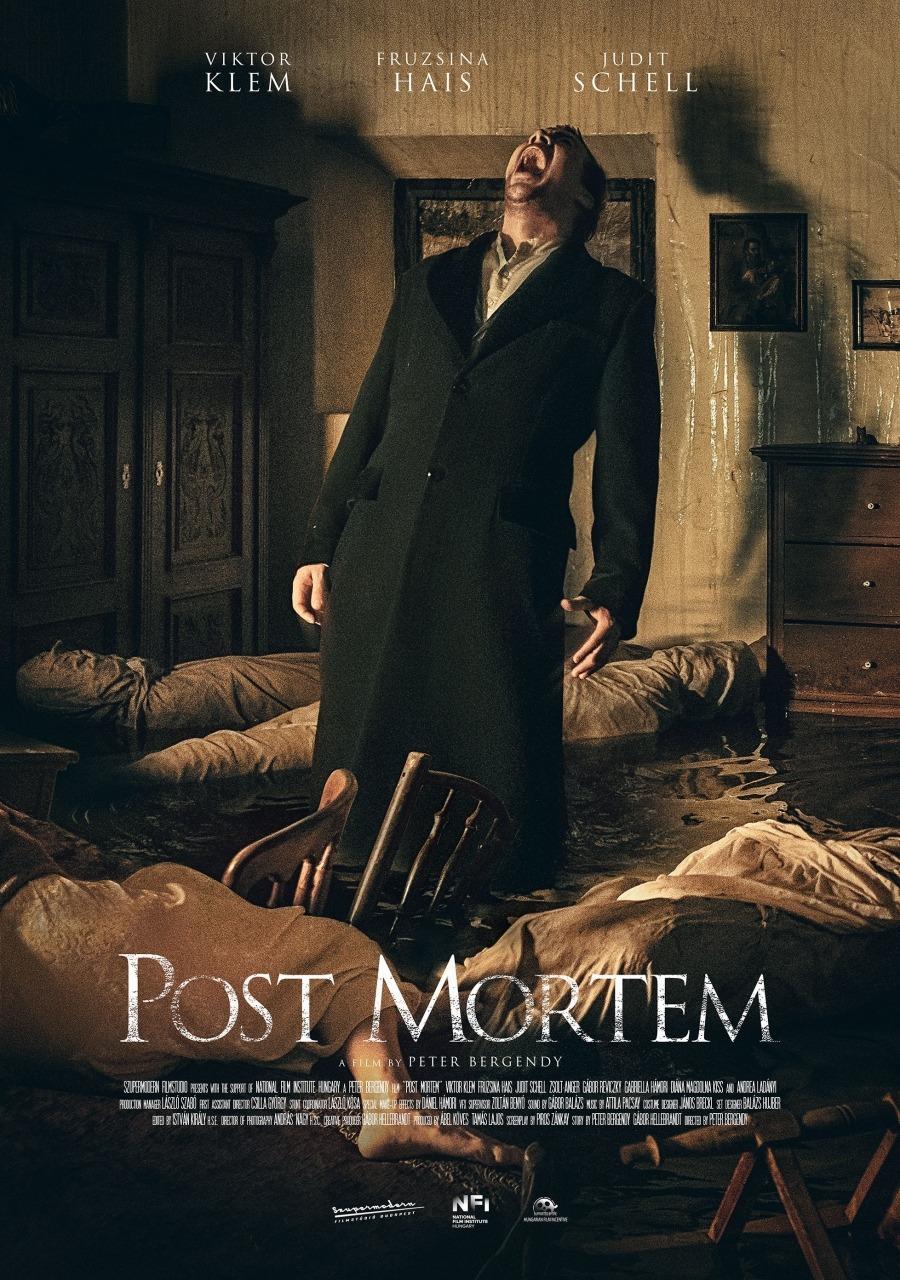 Постер фильма Пост Мортем | Post Mortem