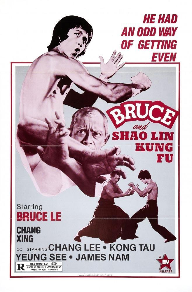 Постер фильма Брюс и кунг-фу монастыря Шао-Линь | Da mo tie zhi gong