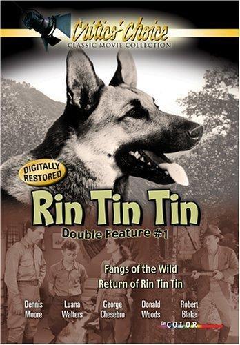 Постер фильма Return of Rin Tin Tin