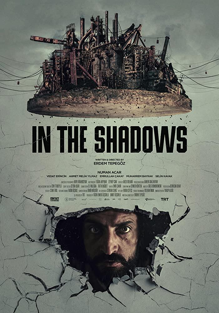 Постер фильма В тени | In the Shadows