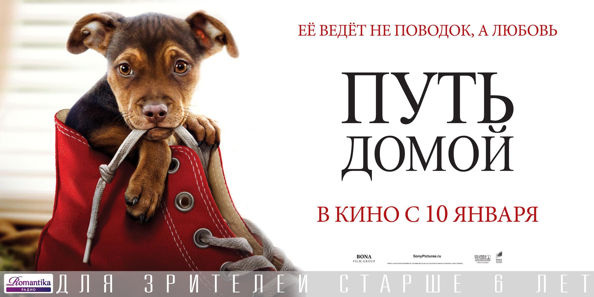 Постер фильма Путь домой | A Dog's Way Home