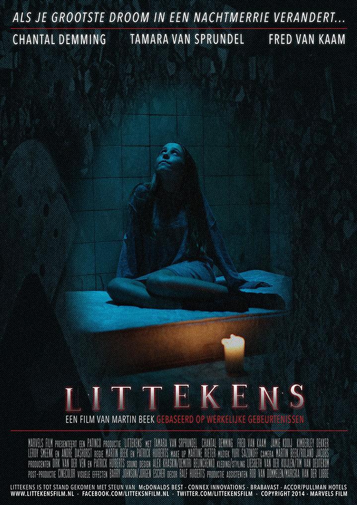 Постер фильма Littekens