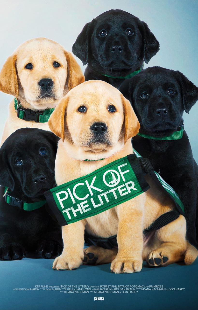 Постер фильма Pick of the Litter 