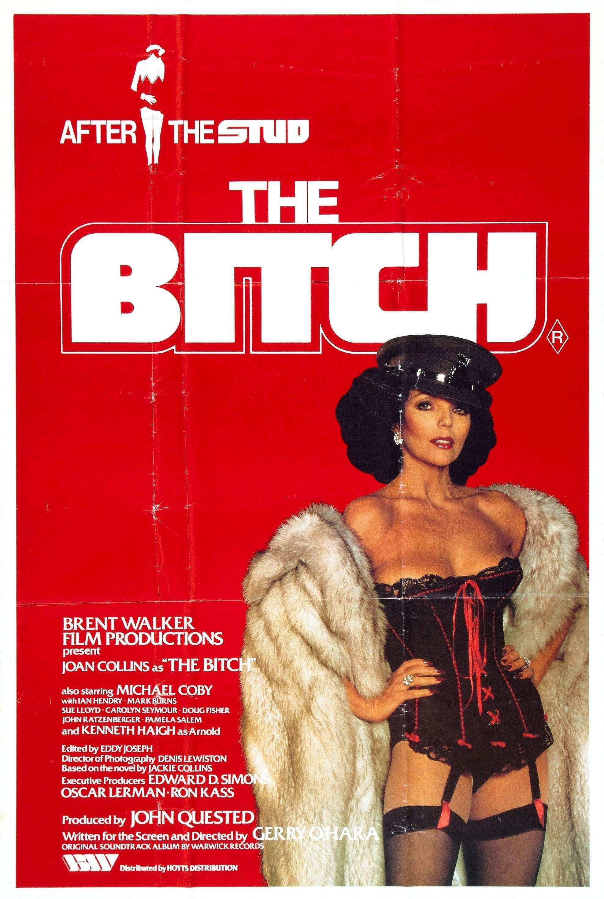 Постер фильма Сука | Bitch