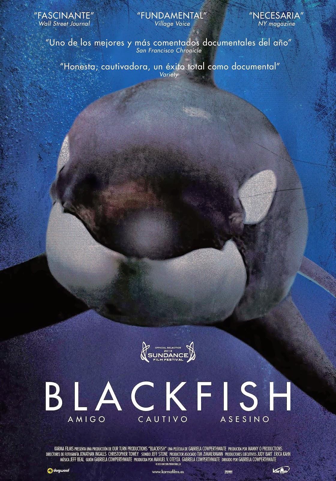 Постер фильма Касатка | Blackfish