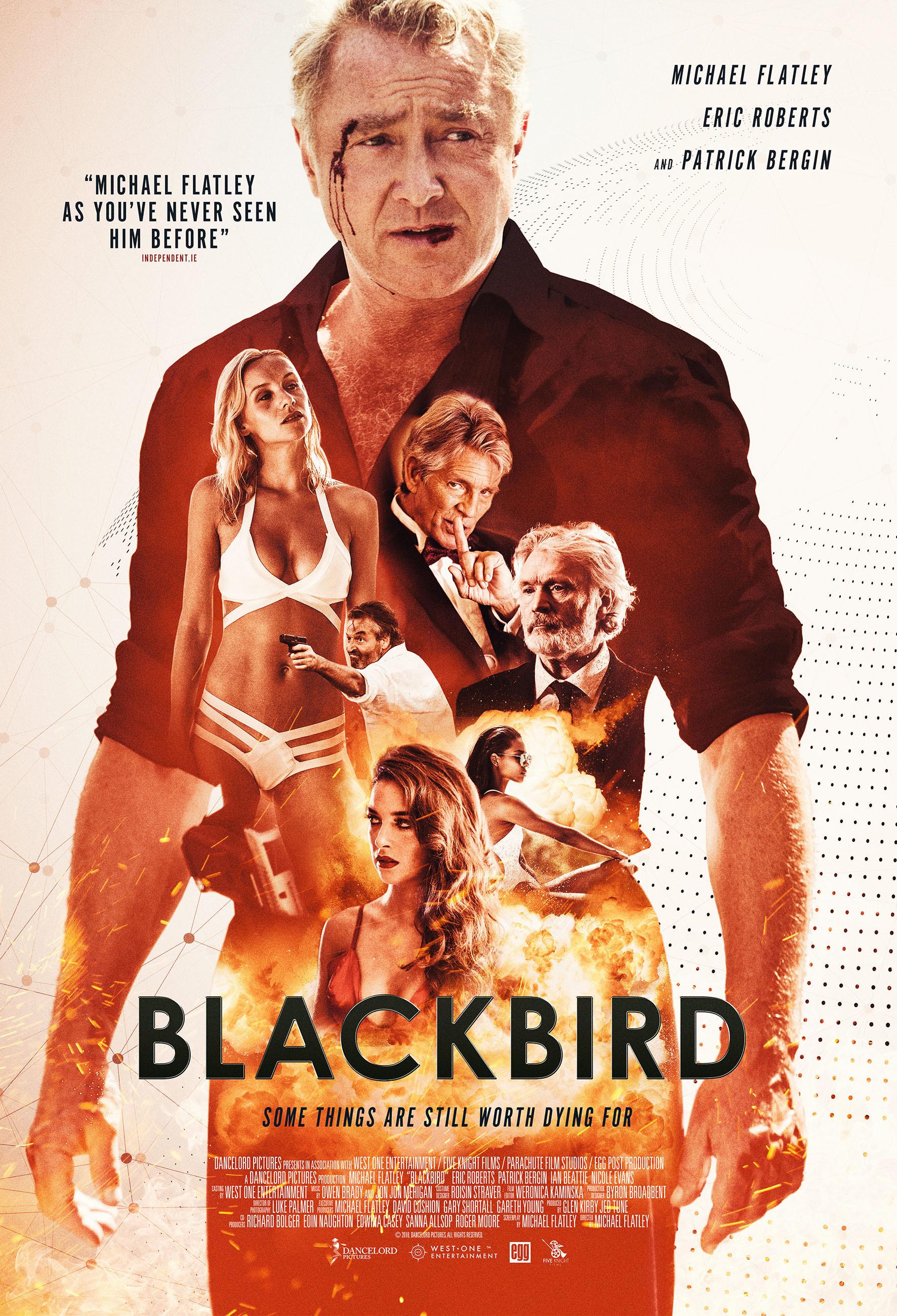 Постер фильма Blackbird 