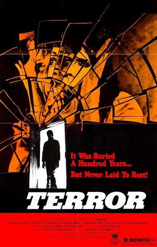 Постер фильма Terror