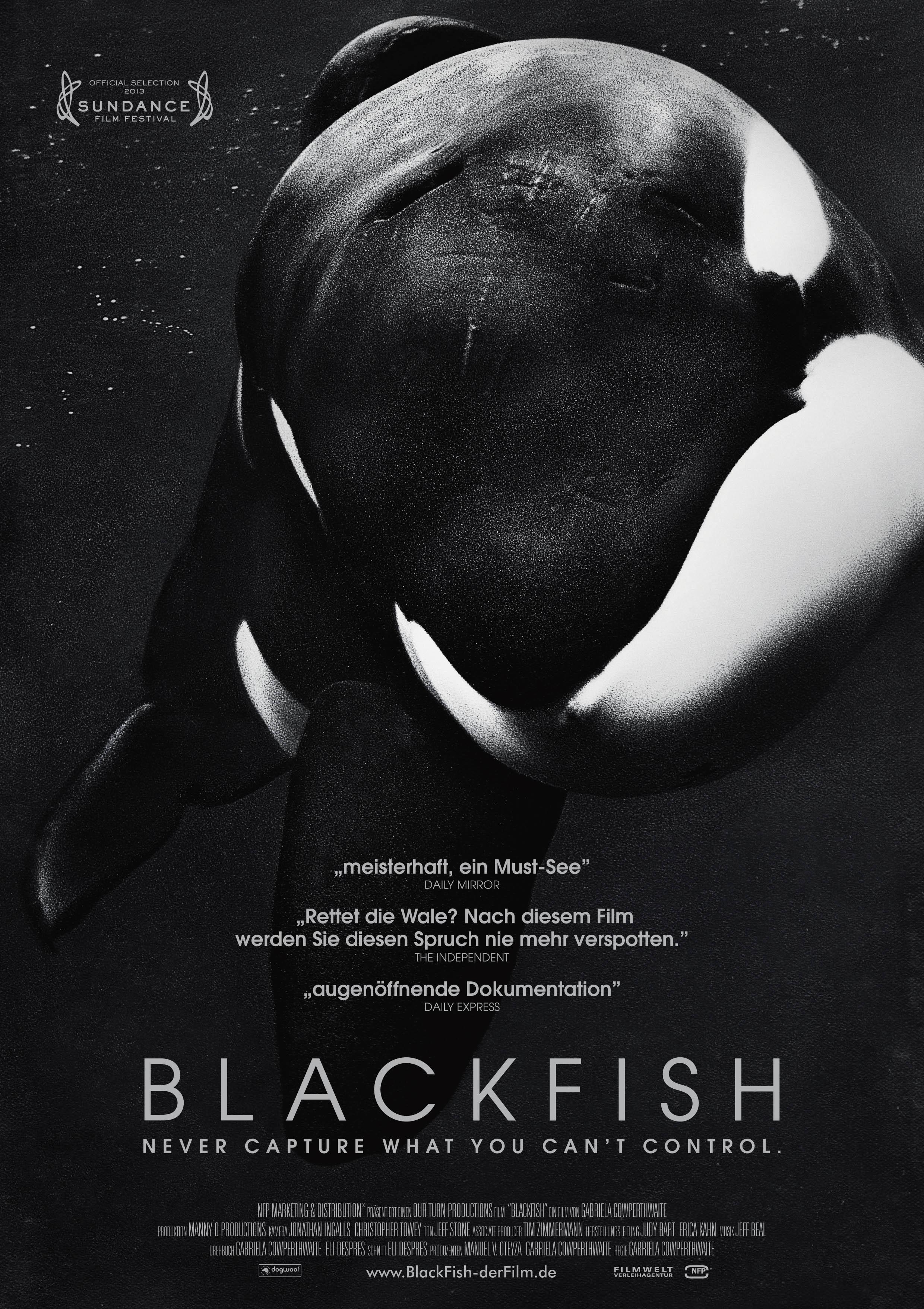 Постер фильма Касатка | Blackfish