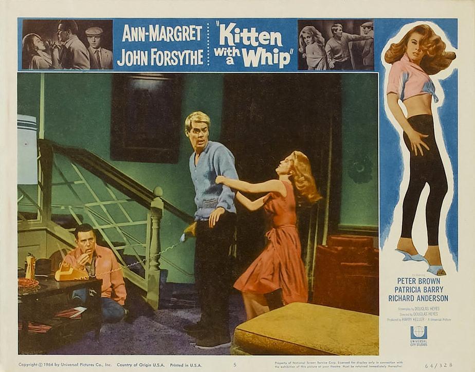 Постер фильма Kitten with a Whip