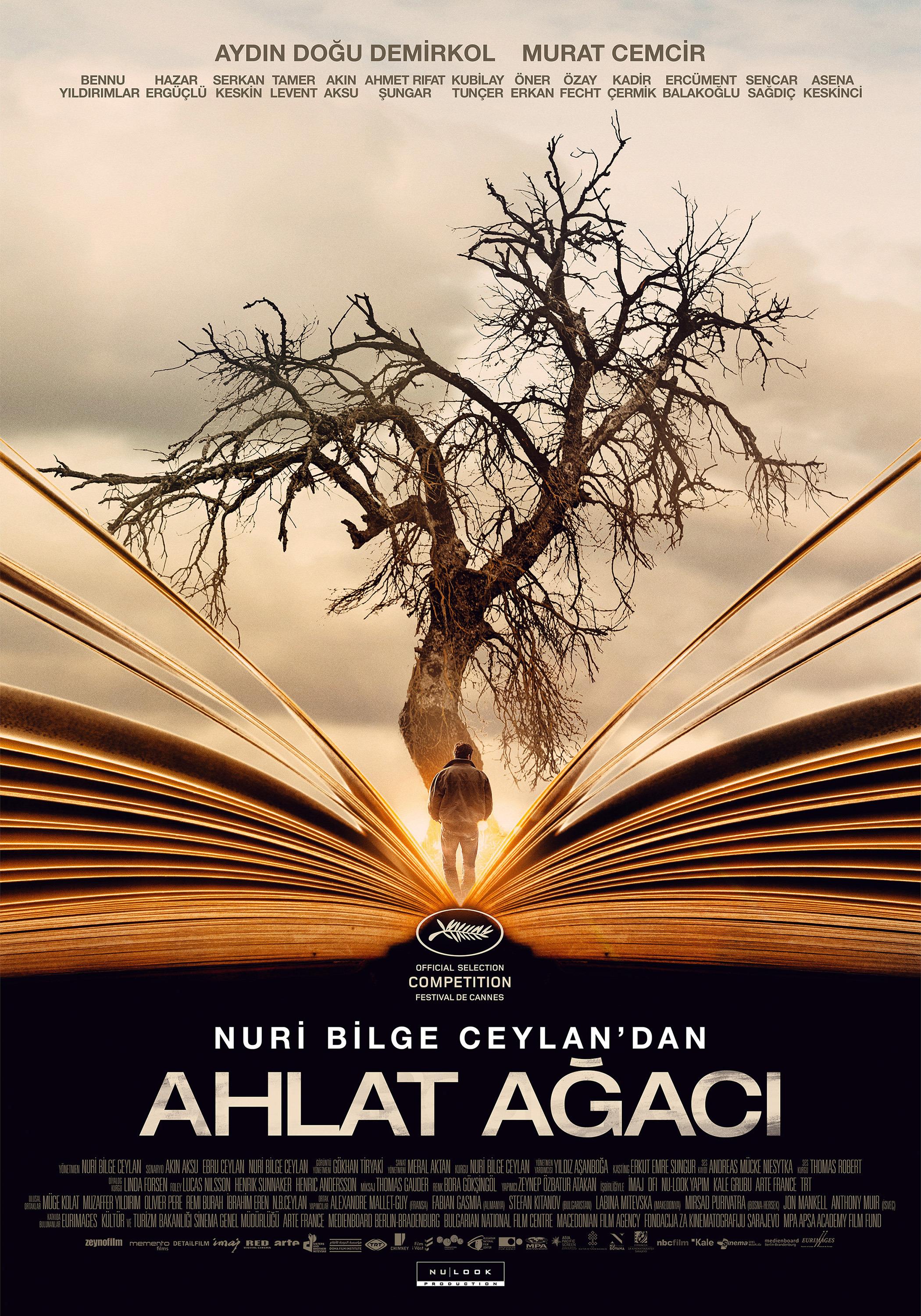 Постер фильма Дикая груша | Ahlat Agaci 