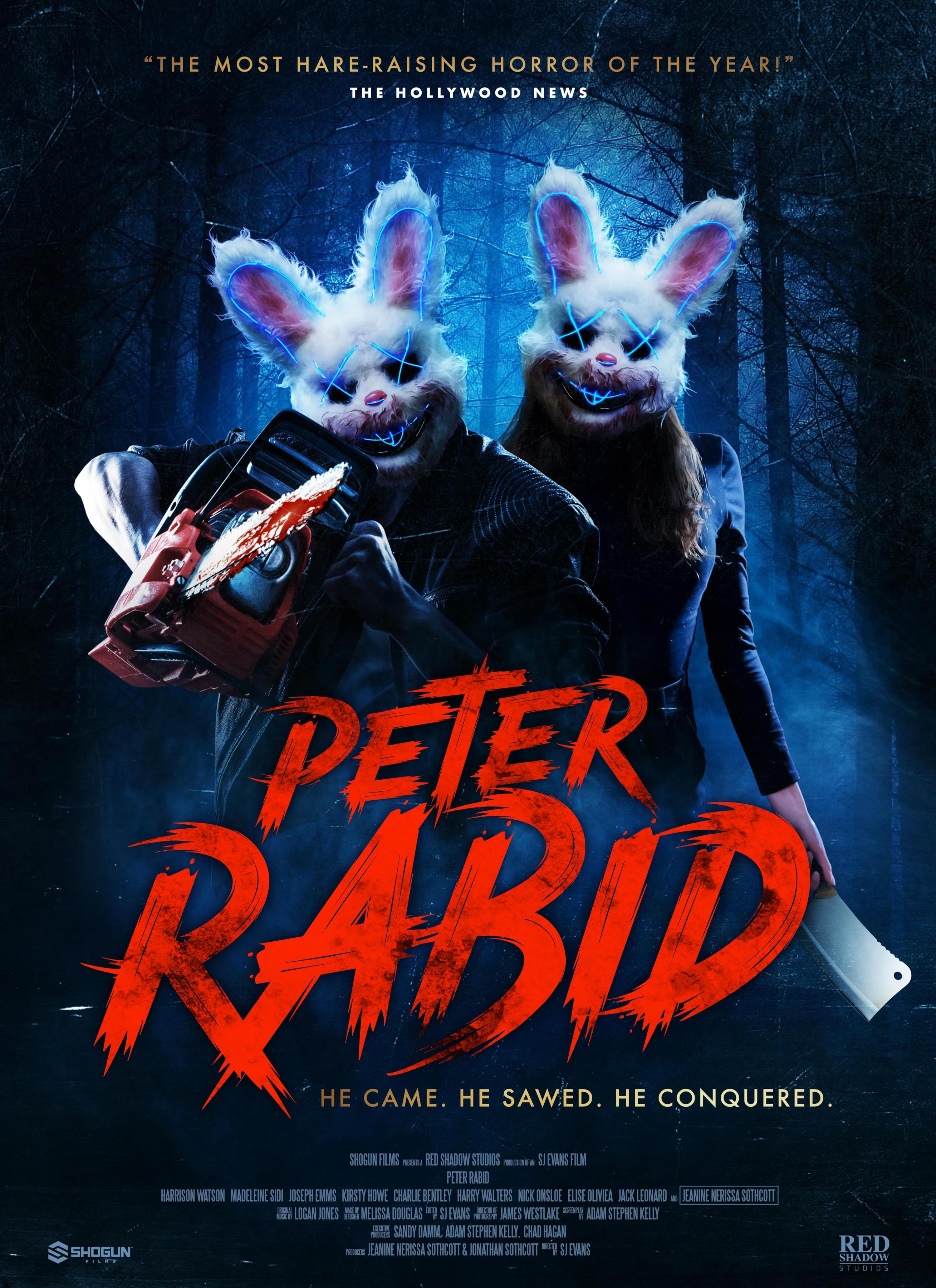 Постер фильма Peter Rabid