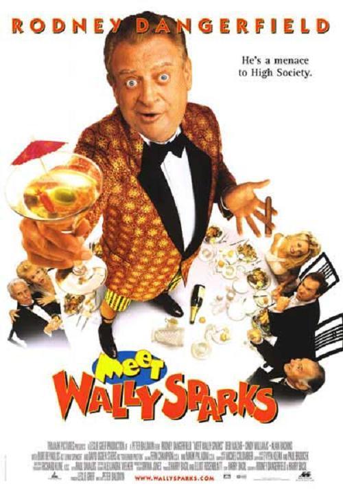 Постер фильма Познакомьтесь с Уолли Спарксом | Meet Wally Sparks