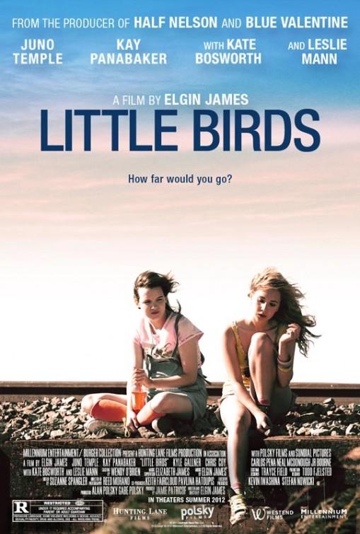 Постер фильма Пташки | Little Birds