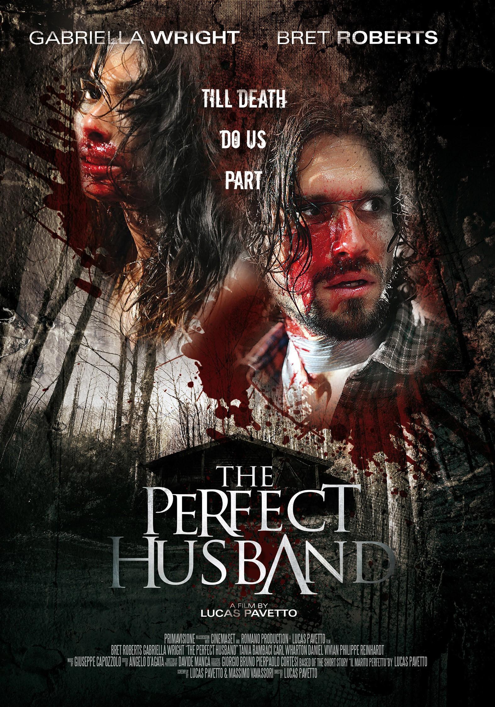 Постер фильма Идеальный муж | Perfect Husband