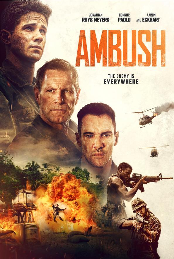 Постер фильма Засада | Ambush