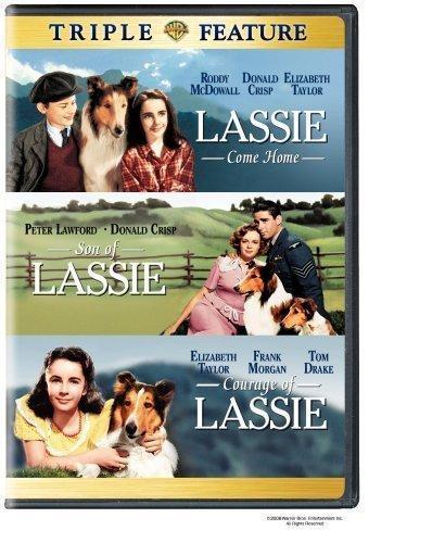 Постер фильма Son of Lassie