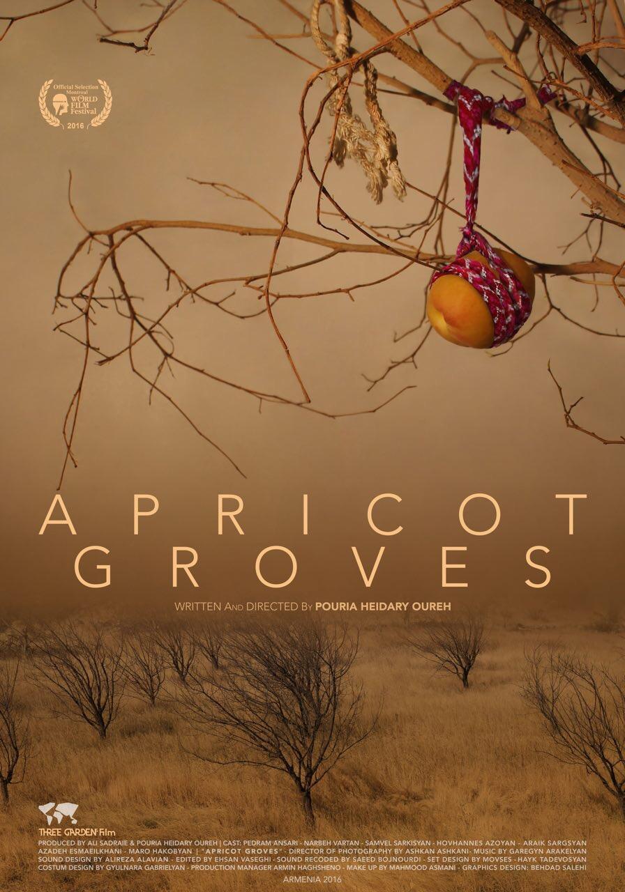 Постер фильма Apricot Groves