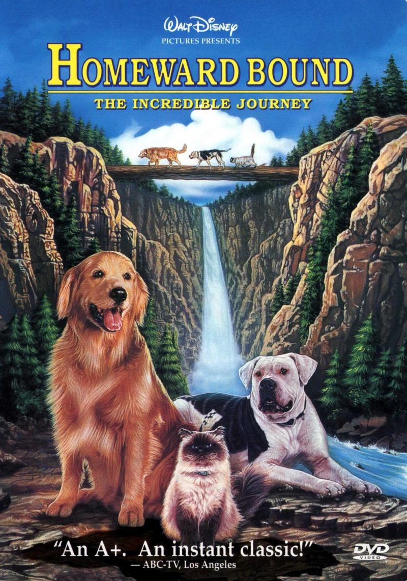 Постер фильма Дорога домой: Невероятное путешествие | Homeward Bound: The Incredible Journey