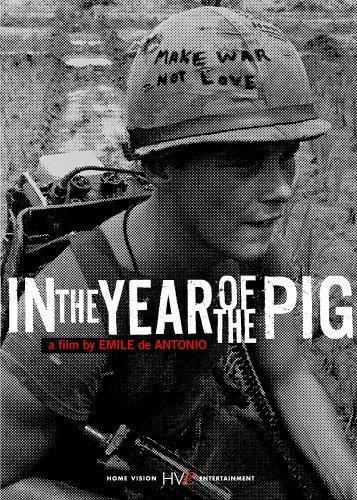 Постер фильма In the Year of the Pig