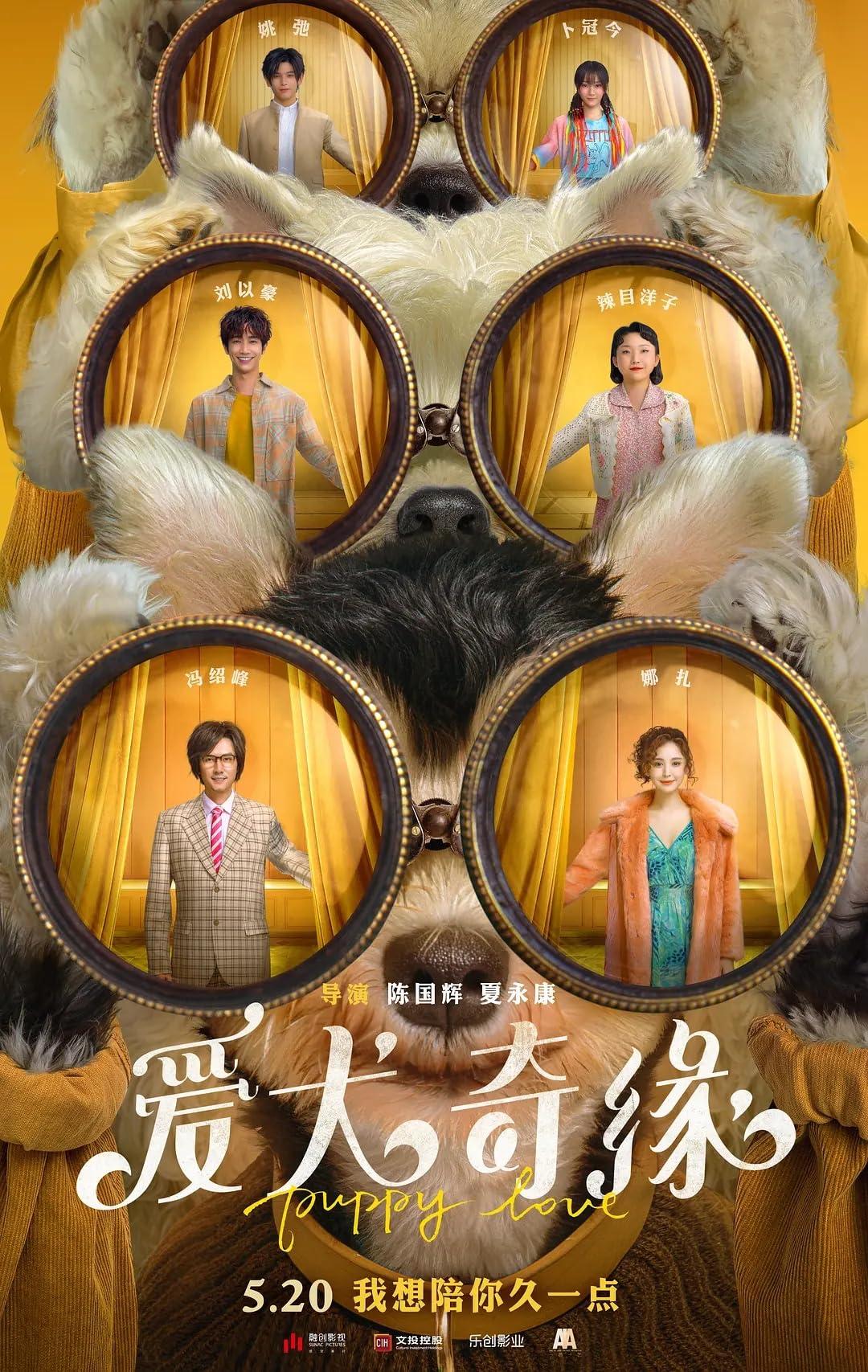 Постер фильма Любовь и пёсики | Ai quan qi yuan