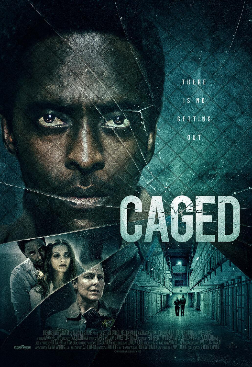 Постер фильма В клетке | Caged