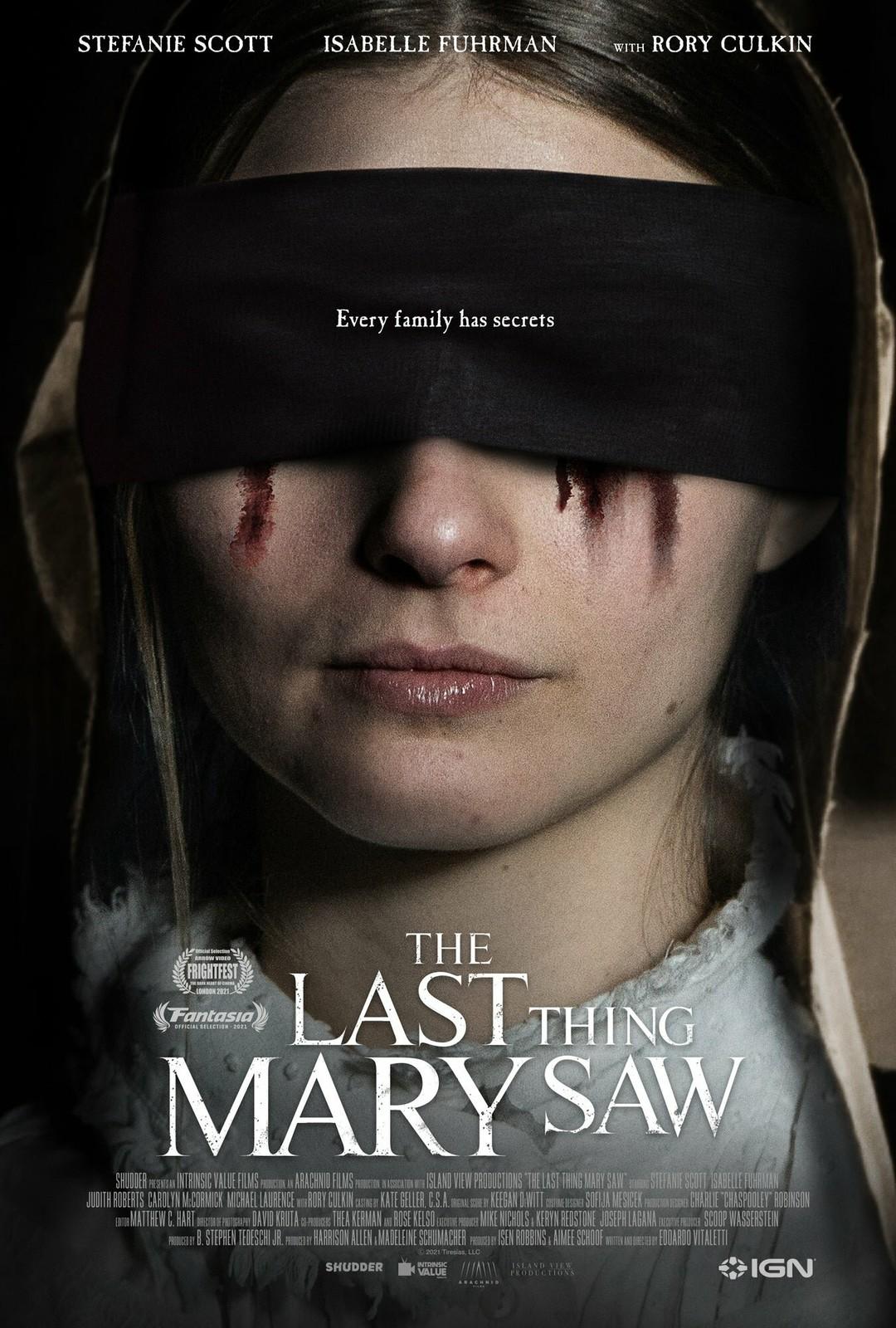 Постер фильма Последнее, что видела Мэри | The Last Thing Mary Saw